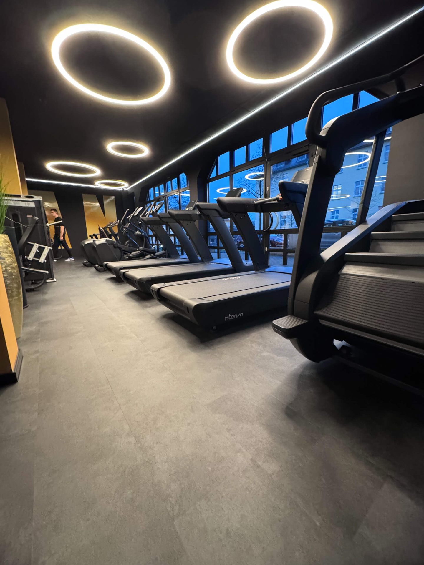 Cardio · Kraft · Functional